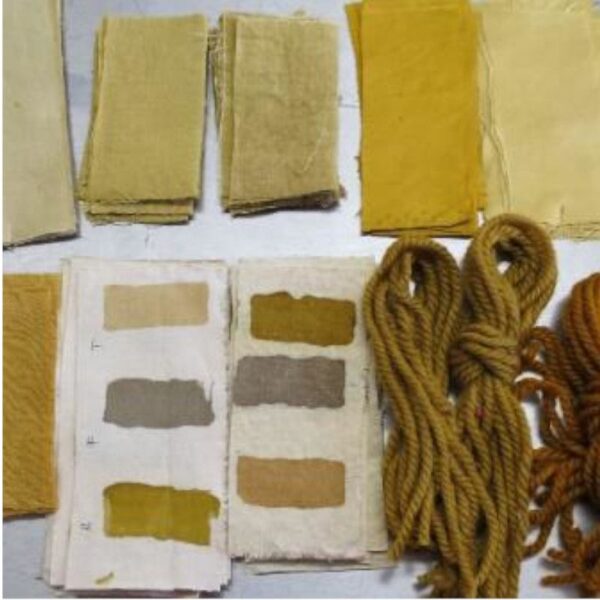 Baies de Nerprun - 100g Baies de Nerprun - 100g