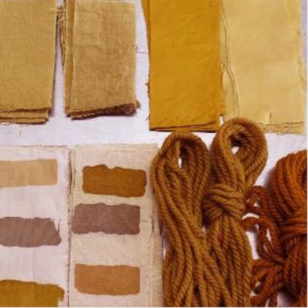 Extrait de châtaignier - 100g Extrait de châtaignier - 100g