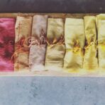 Projet textile et couleurs végétales