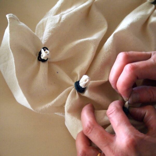 Formation d'animateurs mise en place d'ateliers autour de la couleur végétale - 5 jours Formation d'animateurs mise en place d'ateliers autour de la couleur végétale - 5 jours