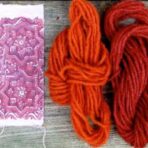 Garance des teinturiers