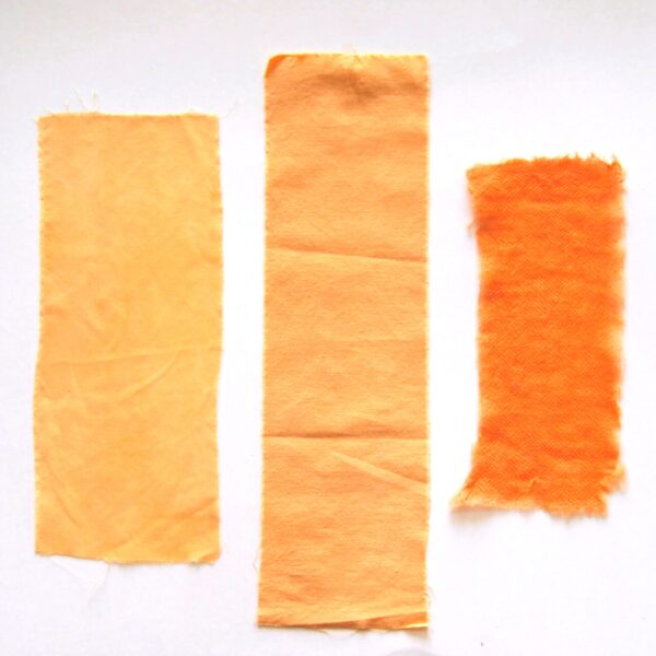 Palas ou Arbre à perroquet - 100g Palas ou Arbre à perroquet - 100g