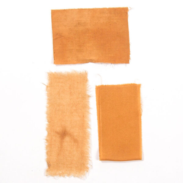 Rose d'inde Rose d'inde