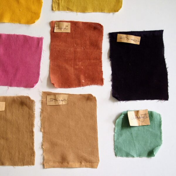 Coton biologique fin réf CI001 Coton biologique fin réf CI001