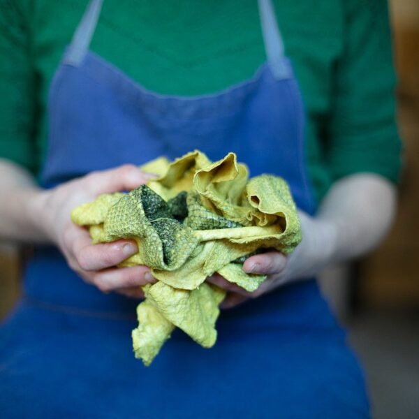 Formation Tannage végétal et teinture naturelle sur cuir de poisson Formation Tannage végétal et teinture naturelle sur cuir de poisson