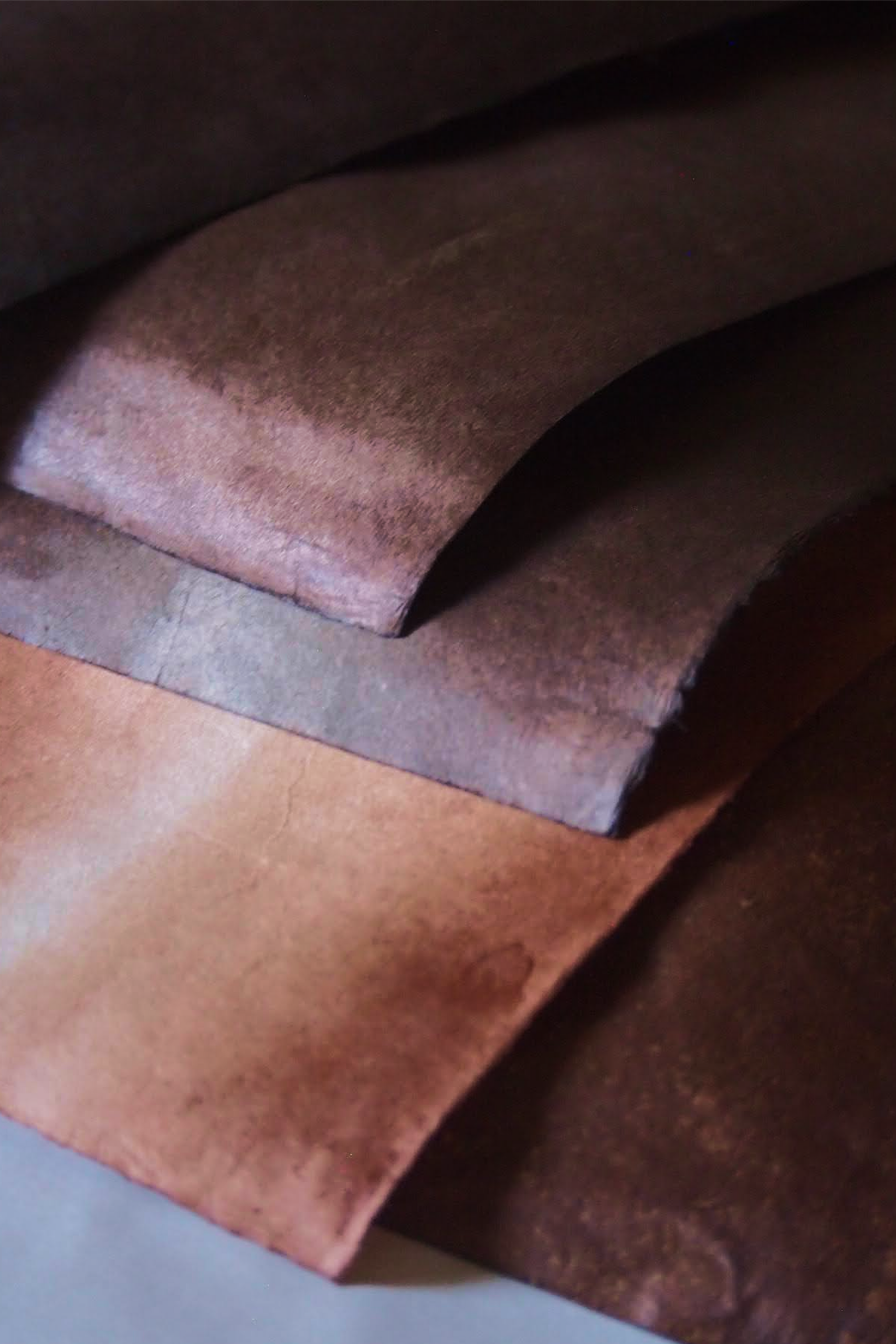 DSCF0154 14 DSCF0154 14