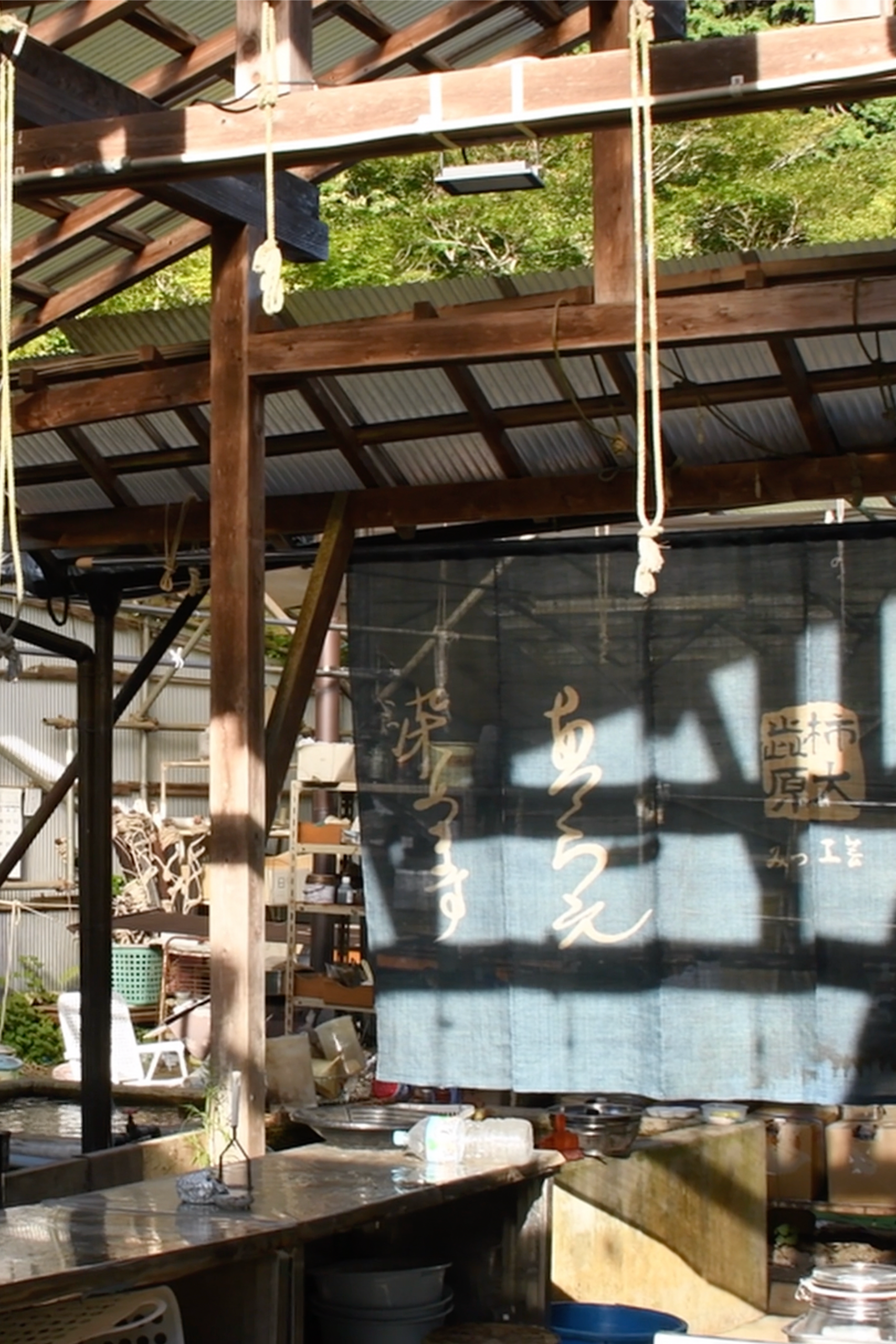 DSCF0154 7 DSCF0154 7